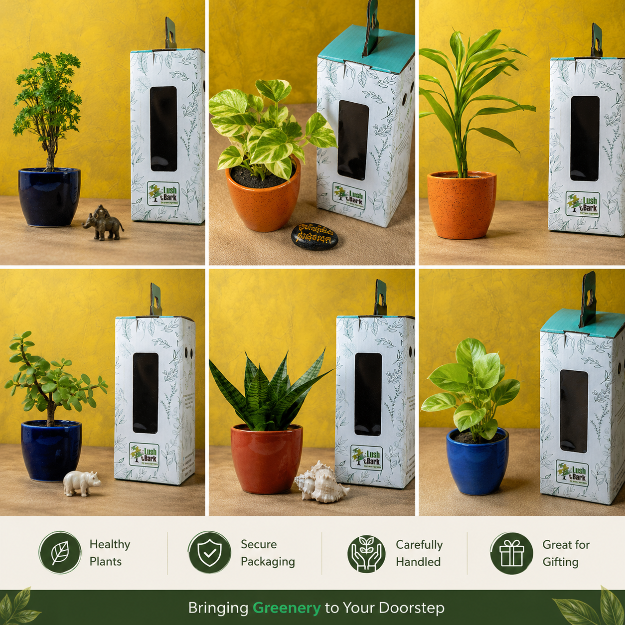 Premium Eco-Friendly Combo Offer