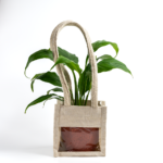 Peace Lily – The Classic, Elegant Air-Purifier