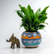 Compact Dracaena – The Ultimate "Set It and Forget It" Desk Plant - Image 9