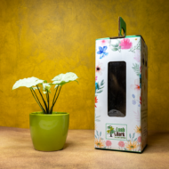 Syngonium White – The Elegant, Easy-Care Arrowhead Plant - Image 4