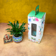 Compact Dracaena – The Ultimate "Set It and Forget It" Desk Plant - Image 2