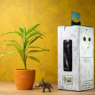 Song of India – The Vibrant Purifier for Luck & Success - Image 4