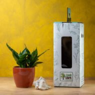 Snake Plant – The Indestructible Oxygen-Booster & Luck Magnet - Image 2