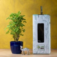 Green Aralia – The Elegant Symbol of Growth & Prosperity - Image 5