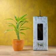 Song of India – The Vibrant Purifier for Luck & Success - Image 5