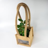 Green Ficus – The Elegant Purifier for Peace & Mental Balance - Image 3