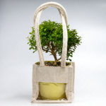 Table Kamini – The Compact Bonsai of Peace and Prosperity